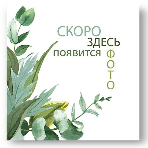 Пион молочноцветковый (сорта)